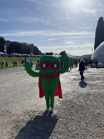 Maratona di Roma 2025, foto 89 di 167